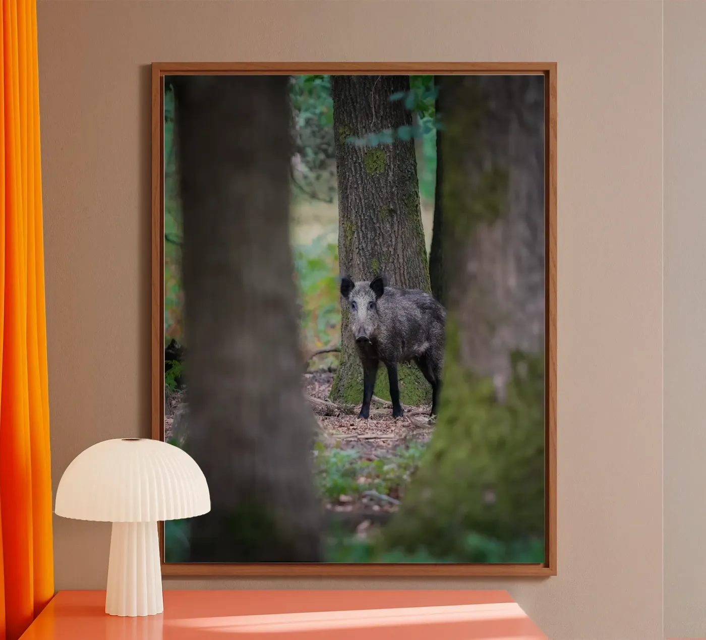 Wild boar pannello forex da Tom's Wildlife