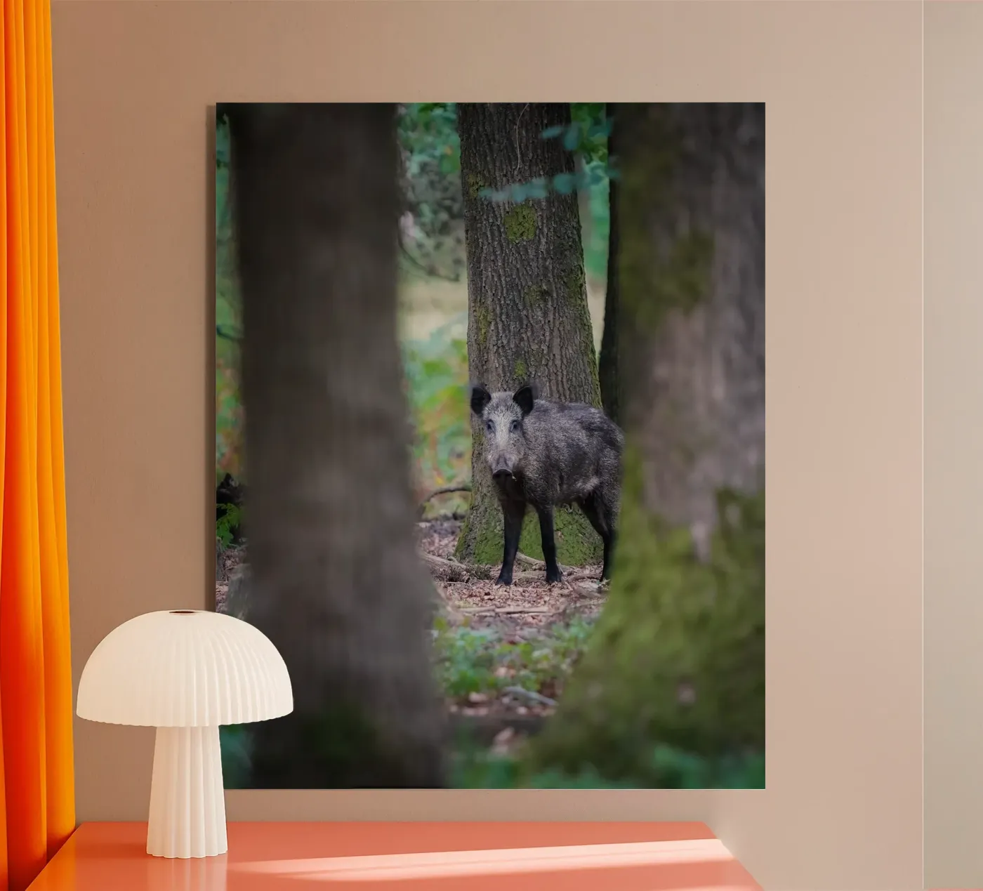 Wild boar pannello forex da Tom's Wildlife