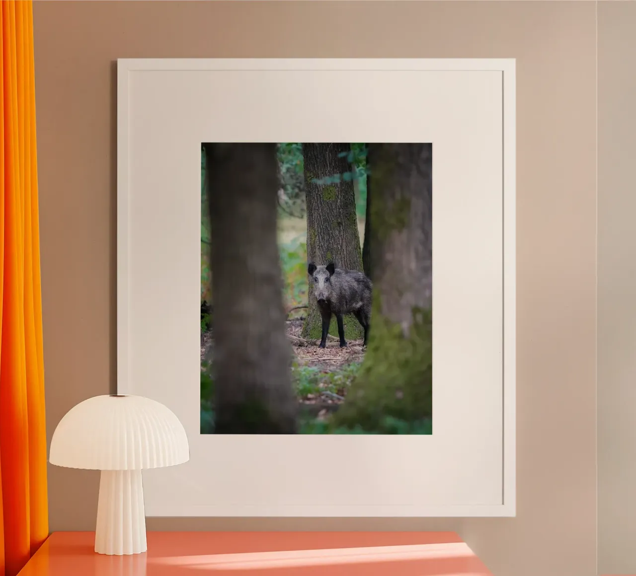 Cinghiale poster da Tom's Wildlife