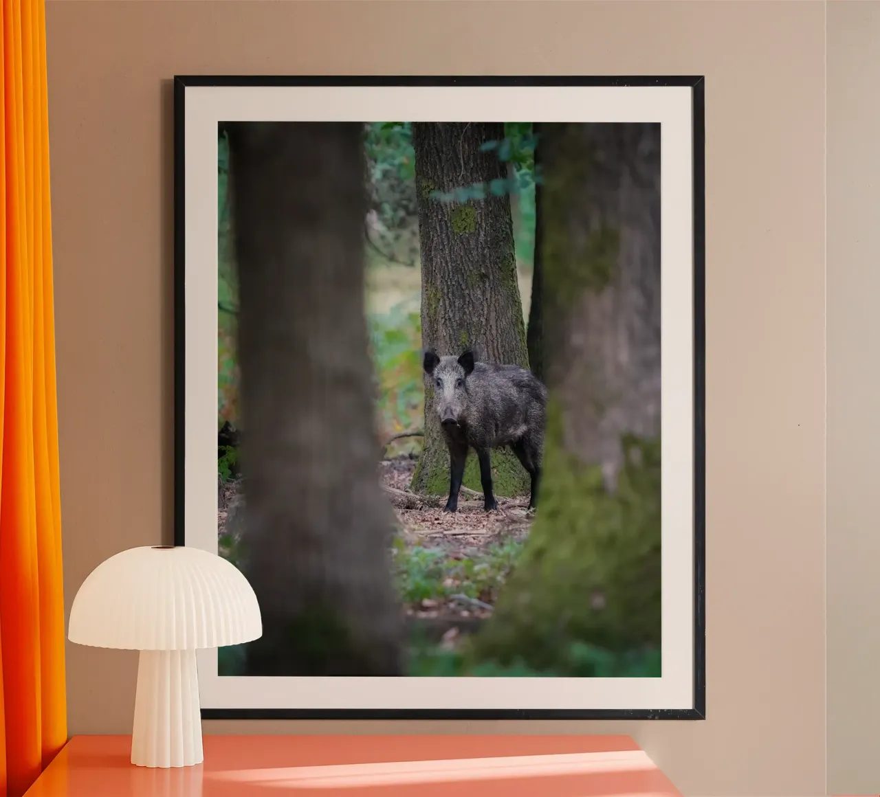 Cinghiale carta hahnemühle da Tom's Wildlife