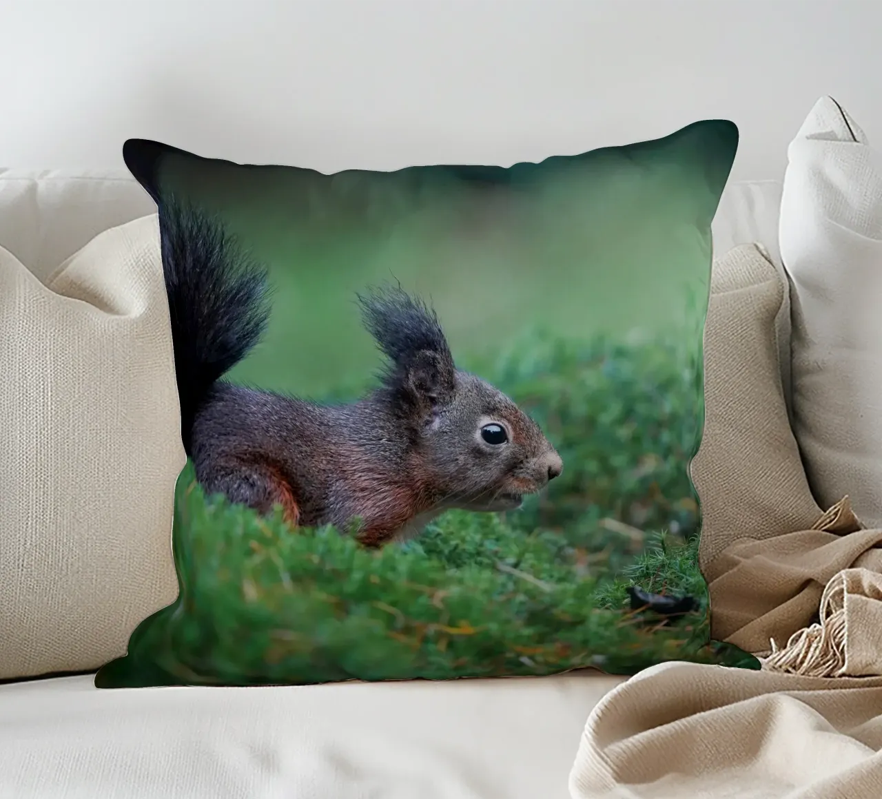 Scoiattolo cuscino da Tom's Wildlife
