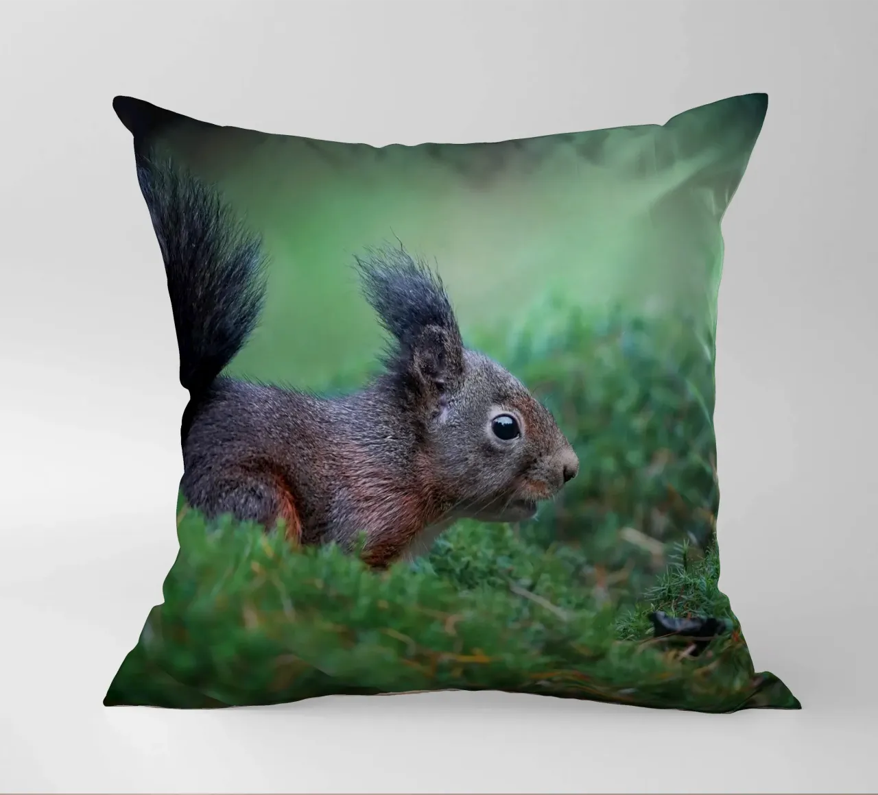 Scoiattolo cuscino da Tom's Wildlife