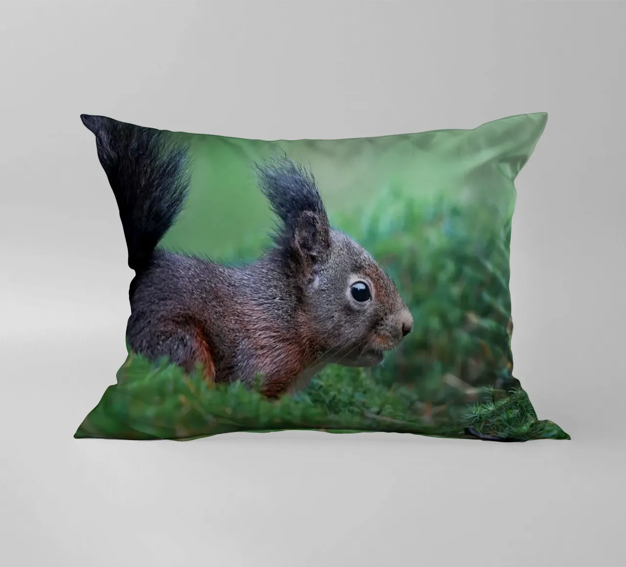 Scoiattolo cuscino da Tom's Wildlife