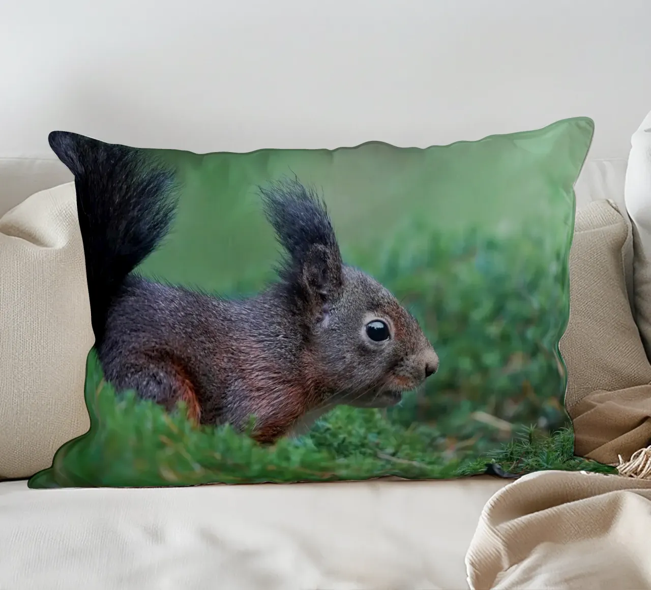 Scoiattolo cuscino da Tom's Wildlife