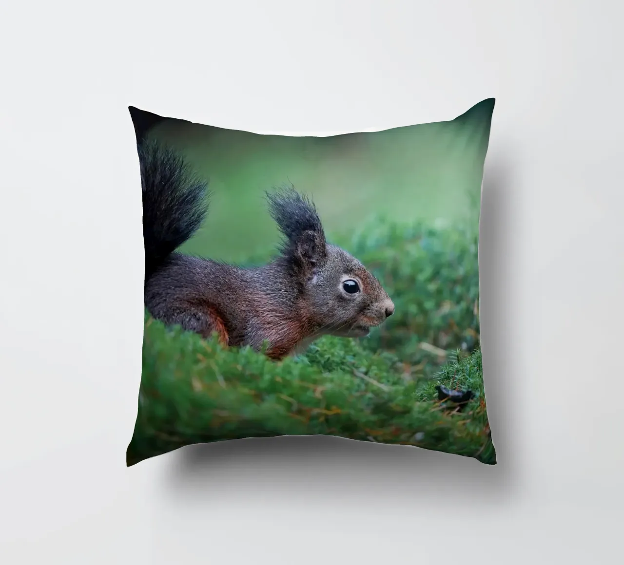 Scoiattolo cuscino da Tom's Wildlife