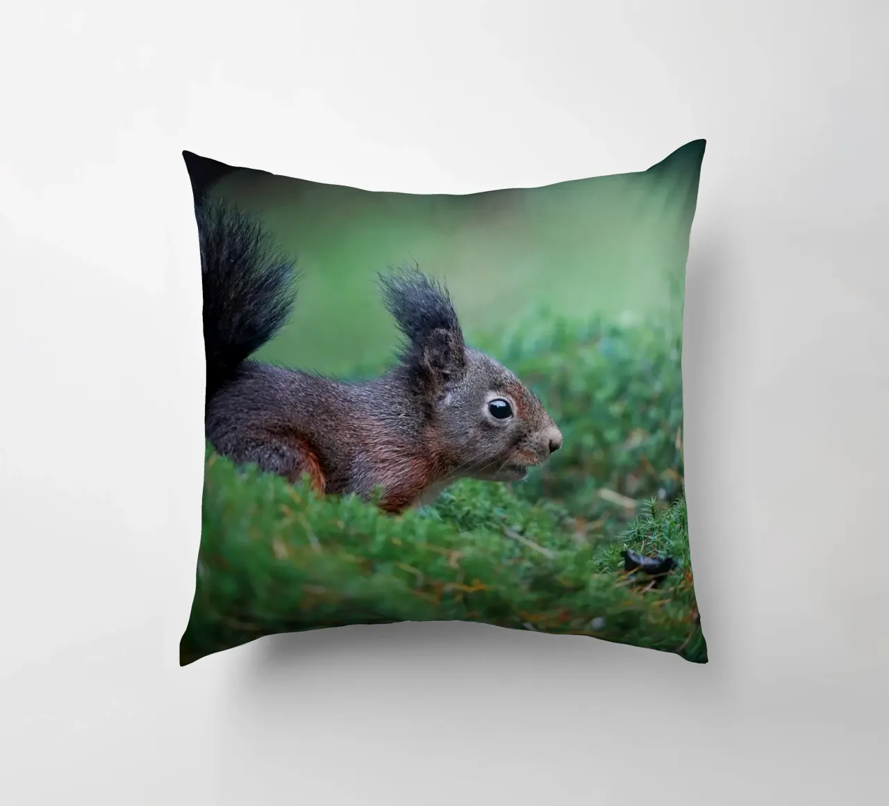 Scoiattolo cuscino da Tom's Wildlife