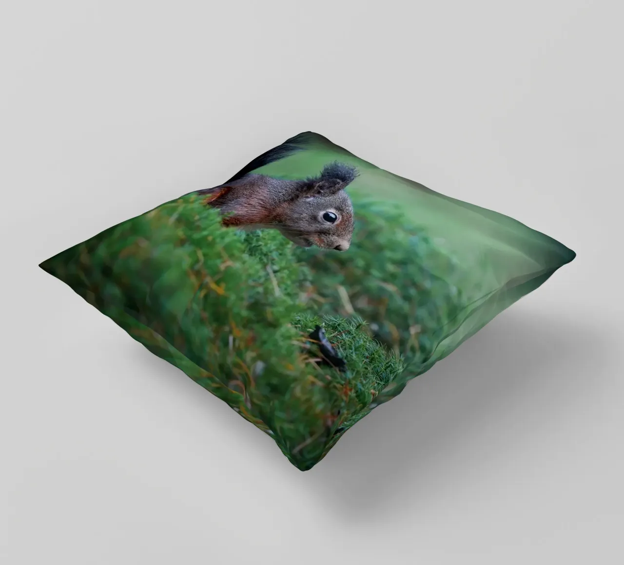 Scoiattolo cuscino da Tom's Wildlife
