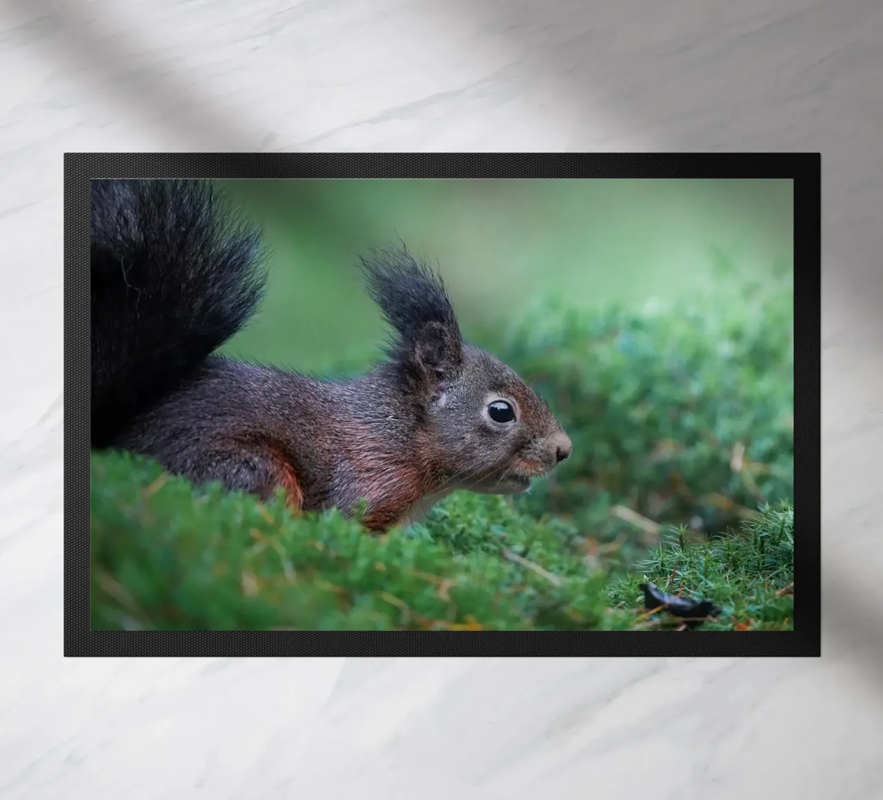 Squirrel doormat by Tom's Wildlife