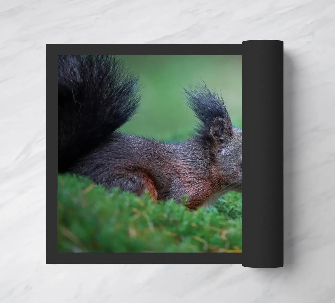 Squirrel doormat by Tom's Wildlife