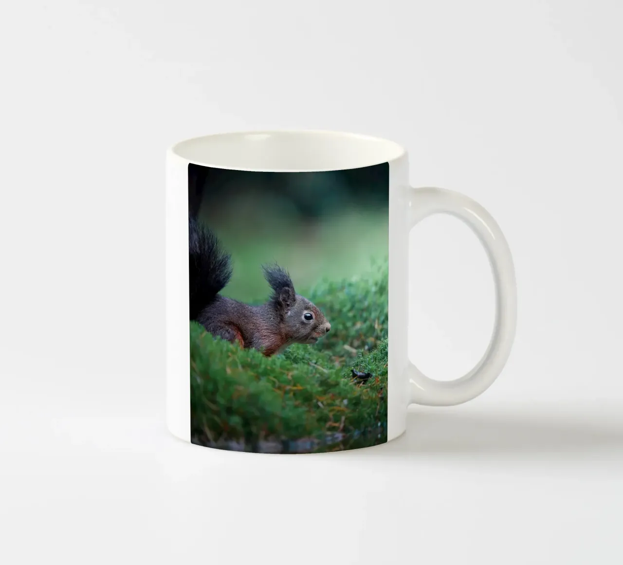 Scoiattolo tazza in ceramica da Tom's Wildlife
