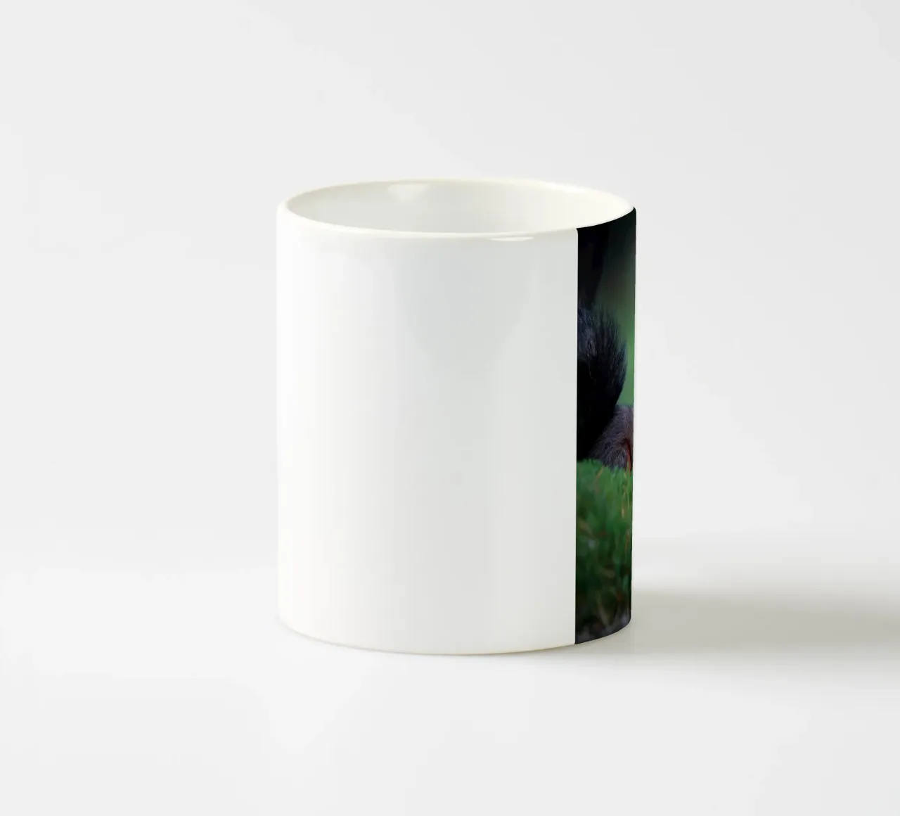 Scoiattolo tazza in ceramica da Tom's Wildlife