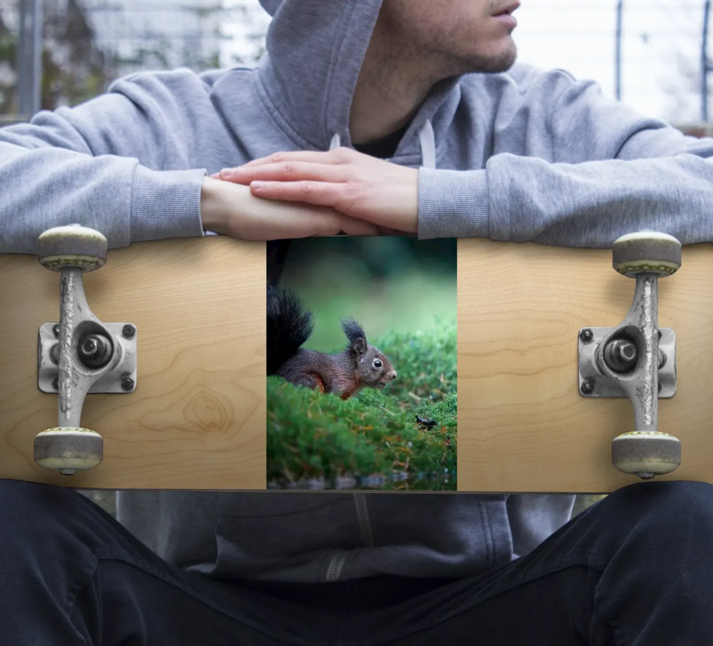 Squirrel sticker by Tom's Wildlife