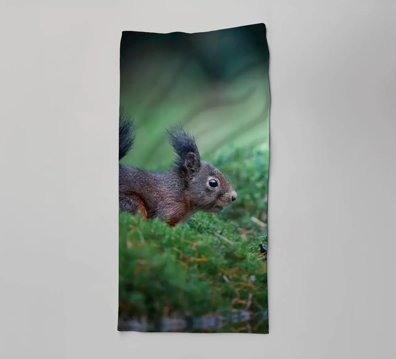 Squirrel towel by Tom's Wildlife