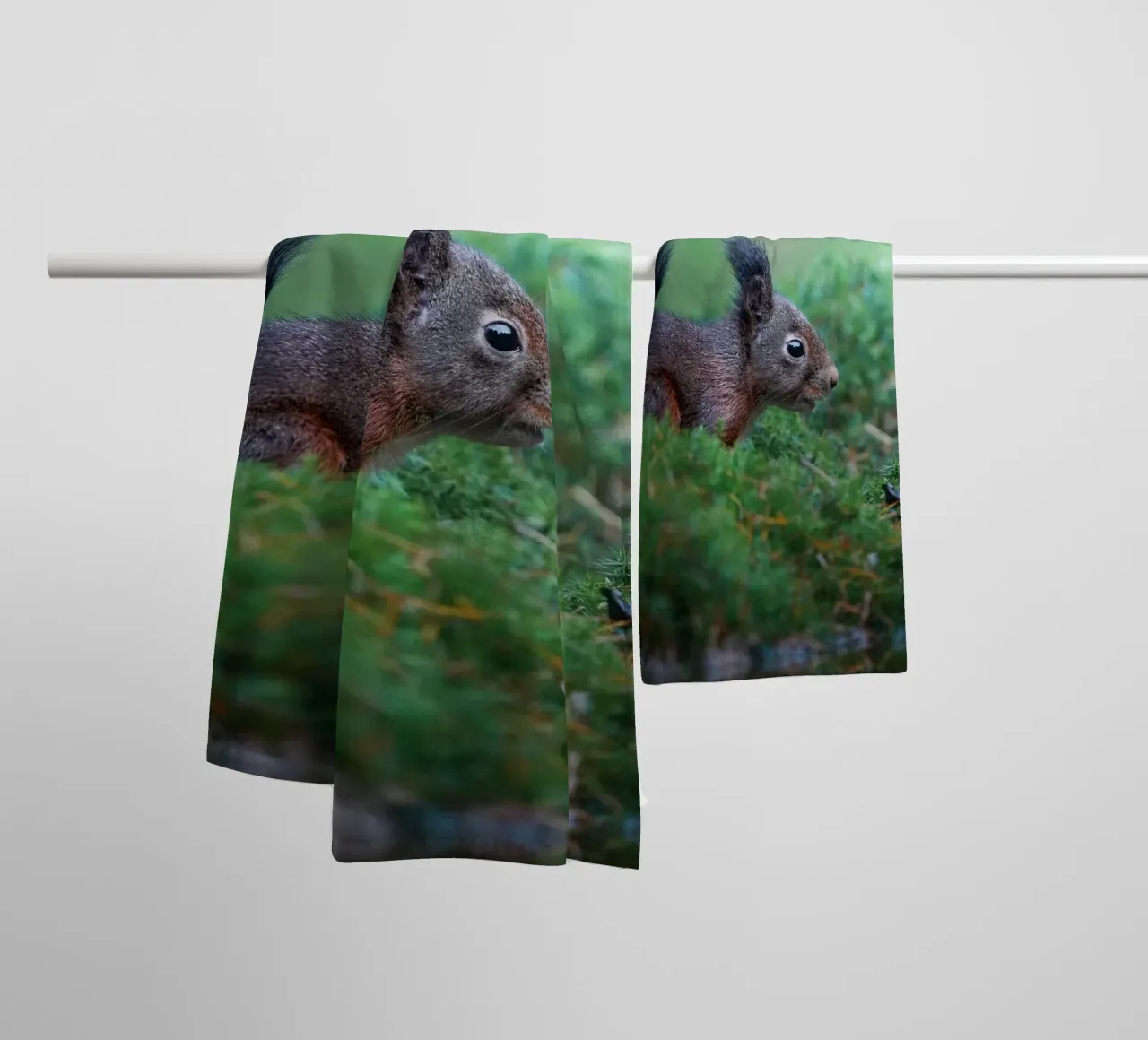 Squirrel towel by Tom's Wildlife