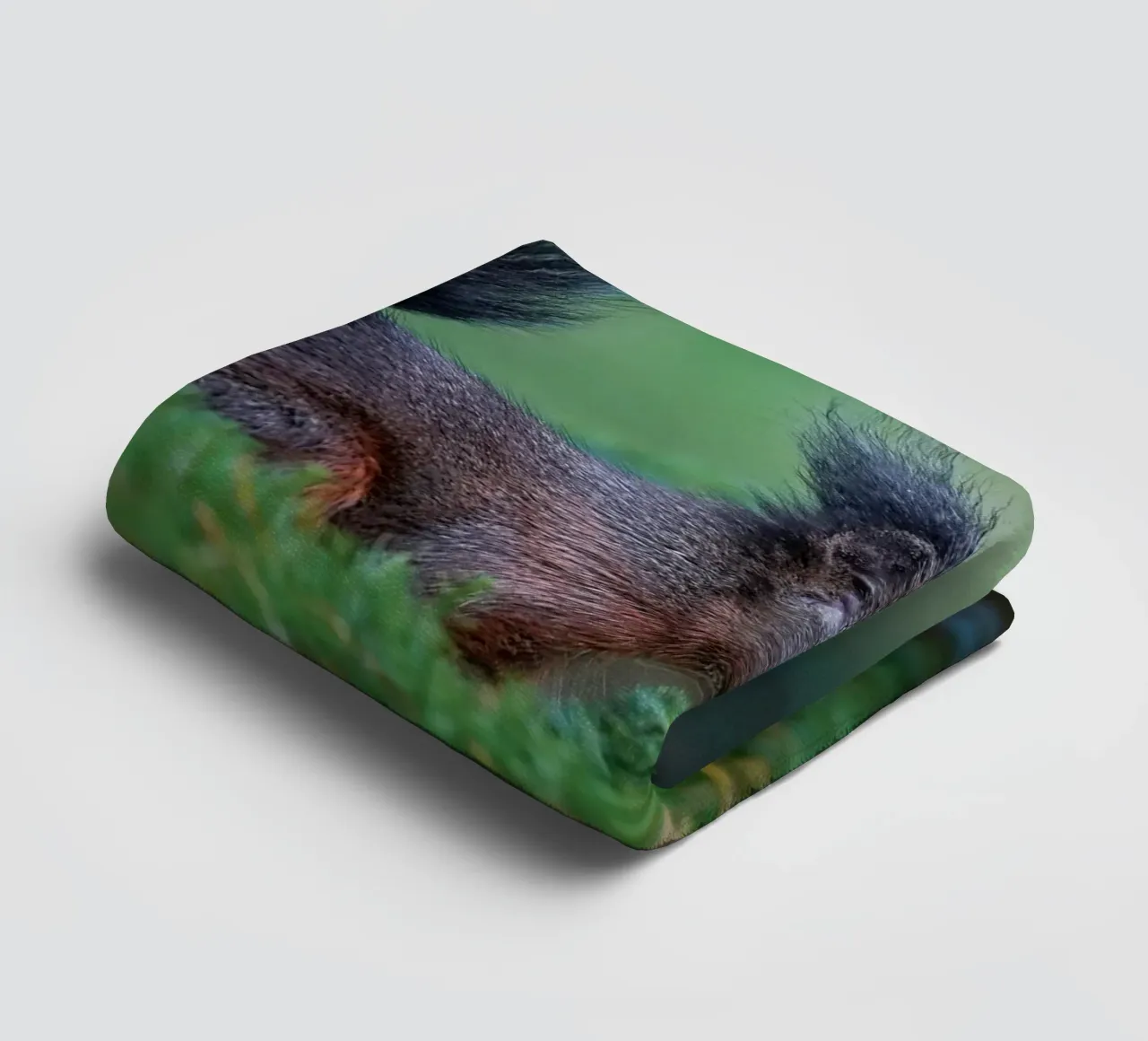 Squirrel towel by Tom's Wildlife