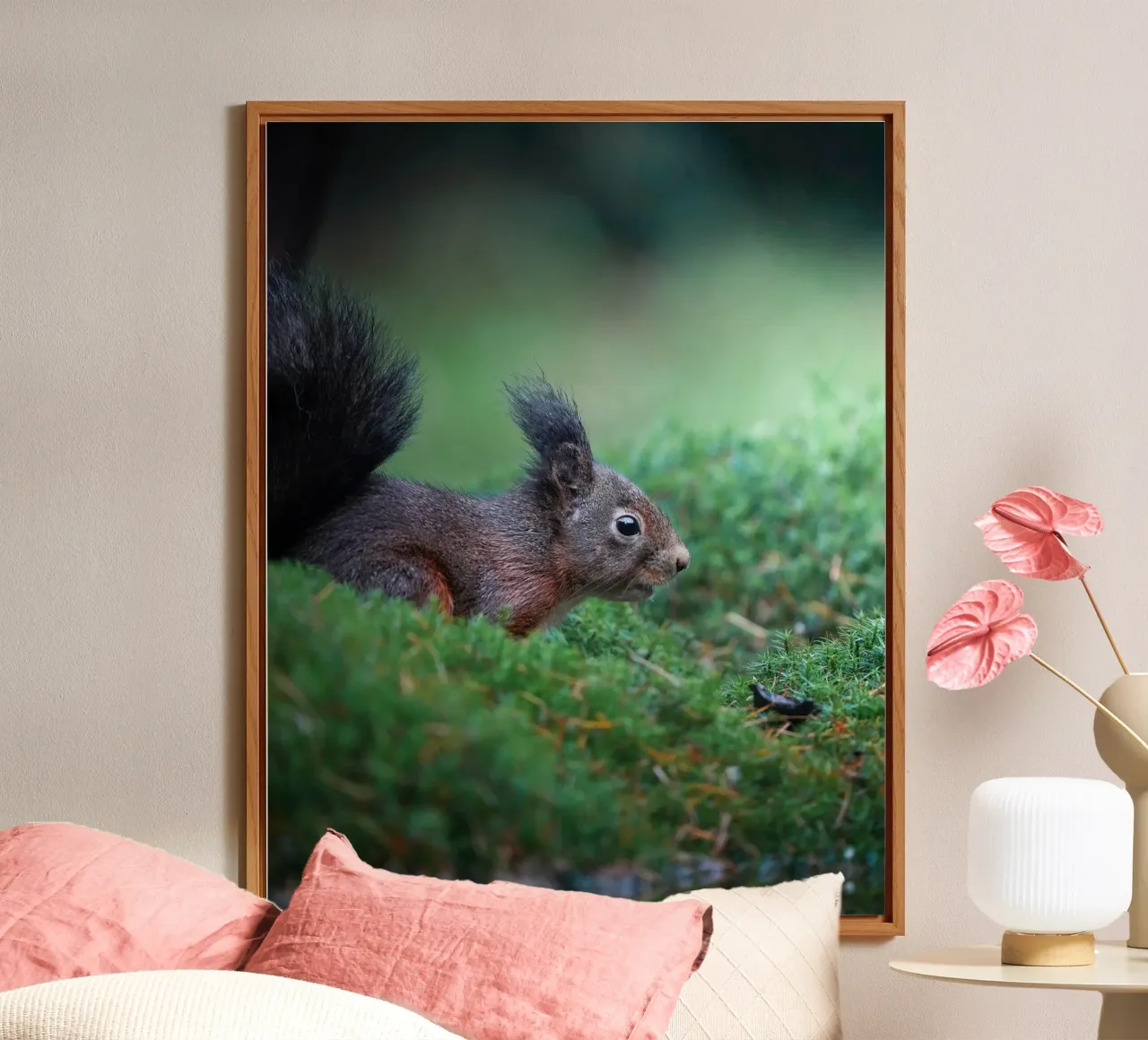 Squirrel pannello forex da Tom's Wildlife