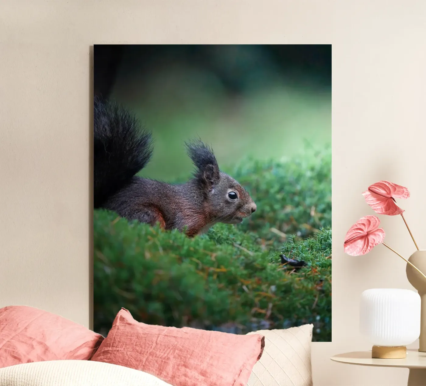 Squirrel panneau forex de Tom's Wildlife