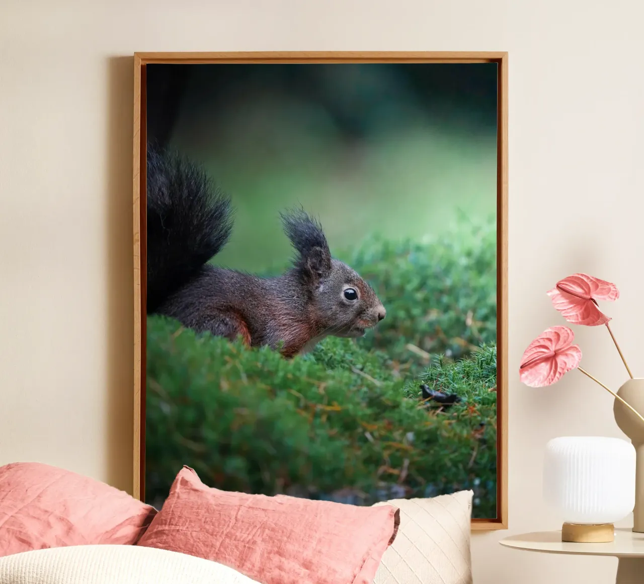 Squirrel canvas by Tom's Wildlife