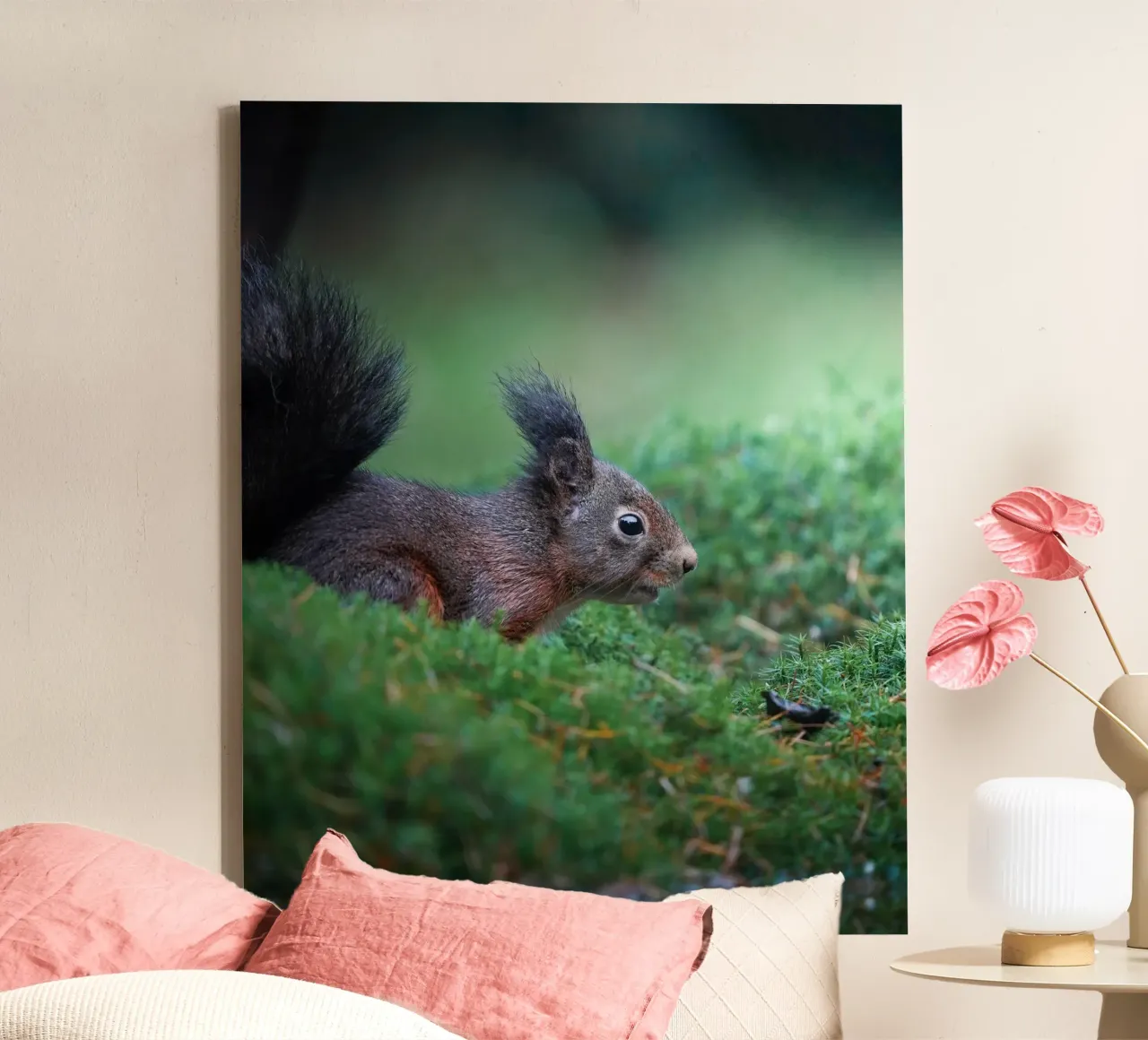 Squirrel canvas by Tom's Wildlife