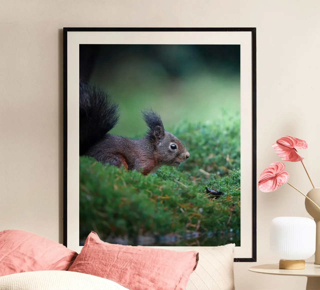 Squirrel poster by Tom's Wildlife