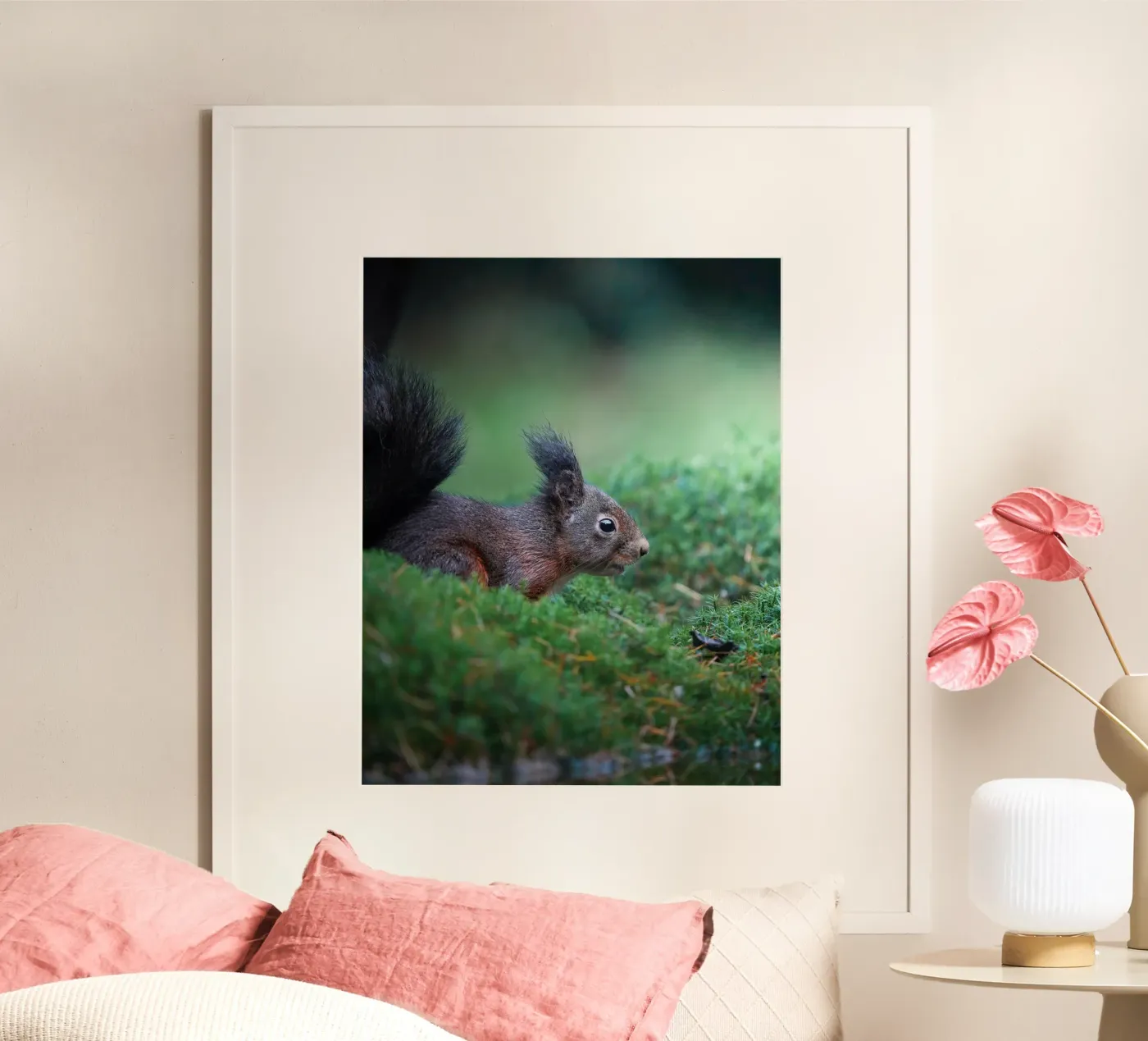 Squirrel poster da Tom's Wildlife