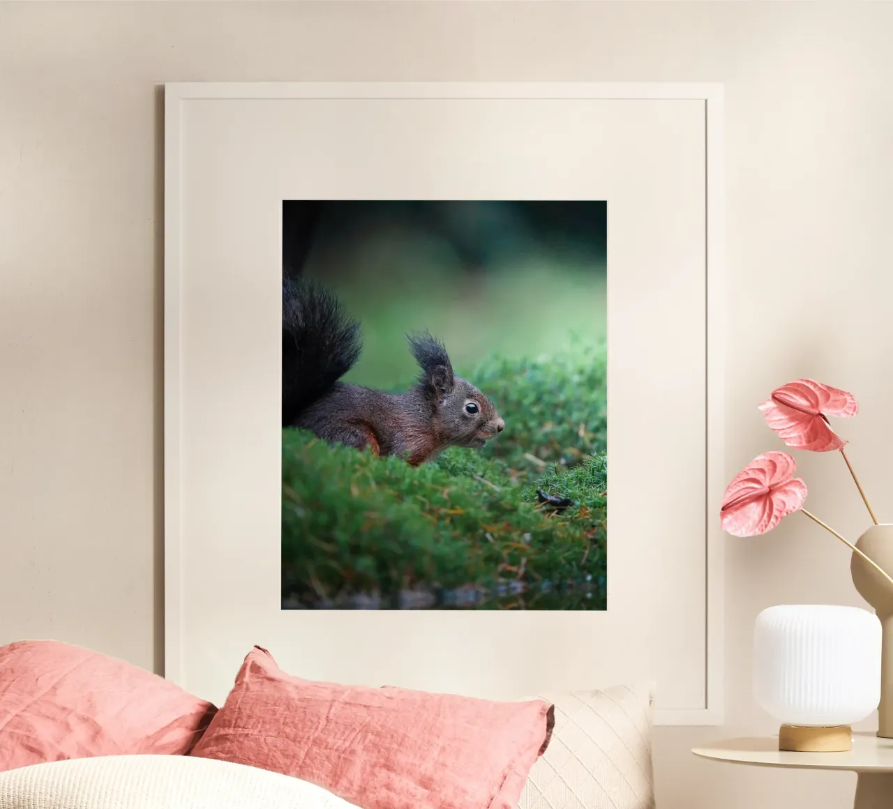Squirrel poster by Tom's Wildlife