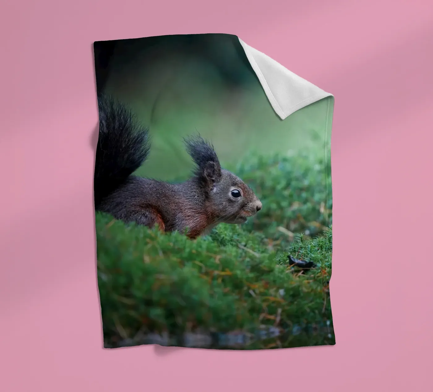 Squirrel fleecedeken van Tom's Wildlife