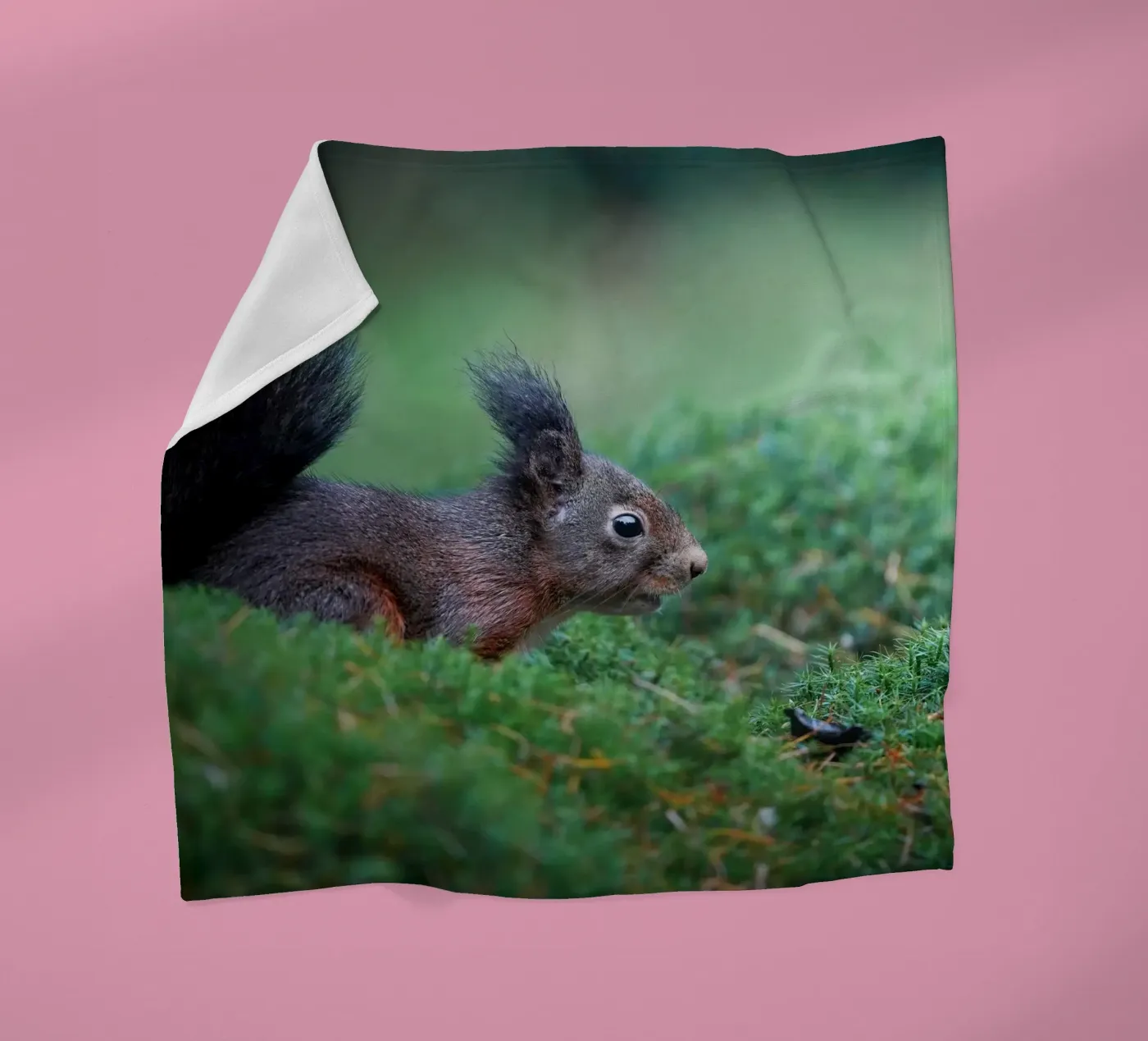 Squirrel fleecedeken van Tom's Wildlife