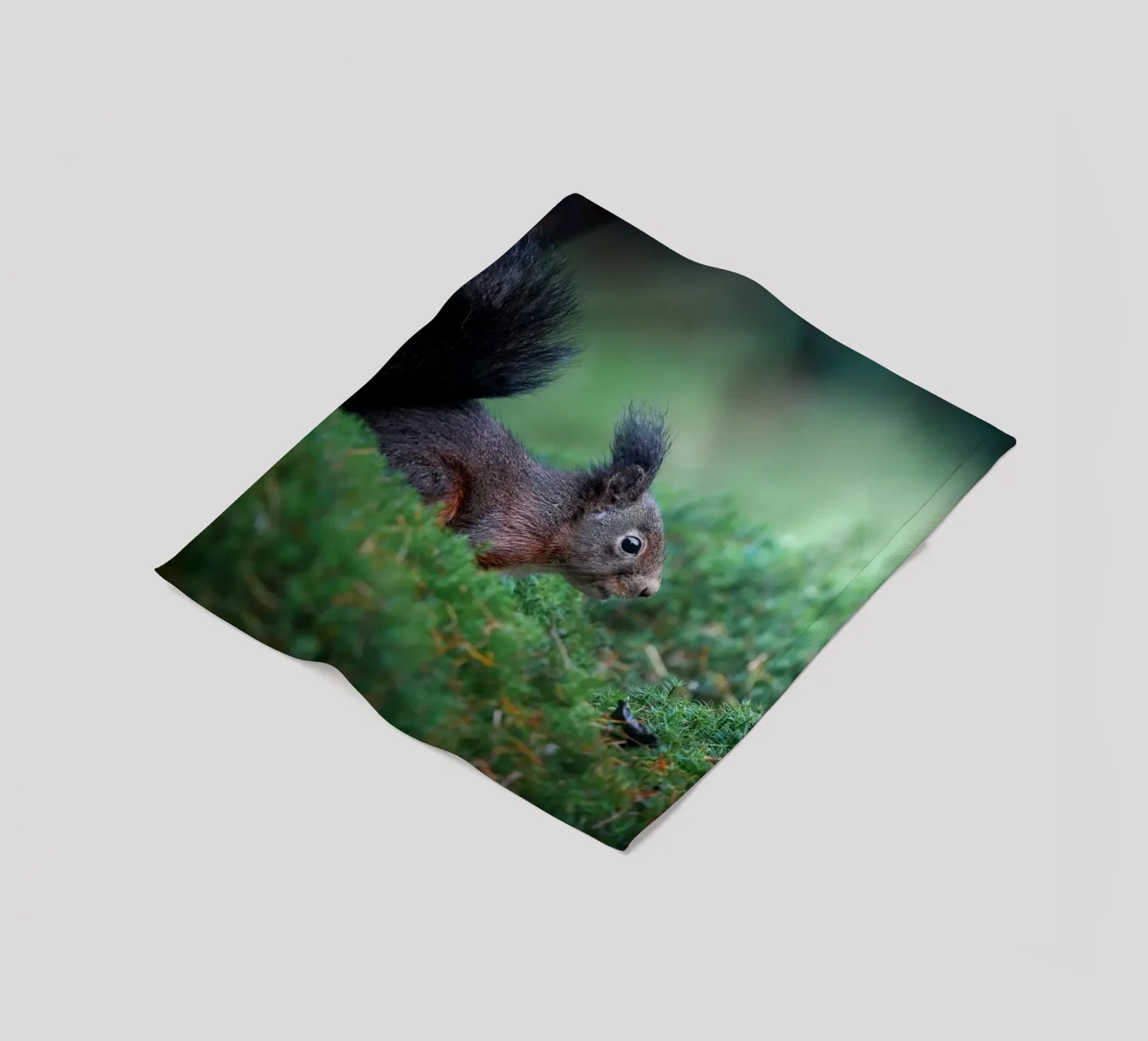 Squirrel fleecedeken van Tom's Wildlife