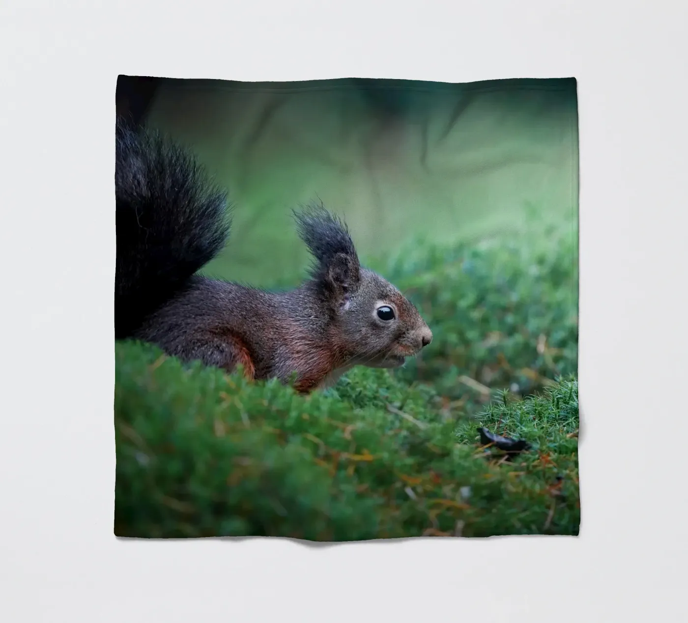 Squirrel fleecedeken van Tom's Wildlife