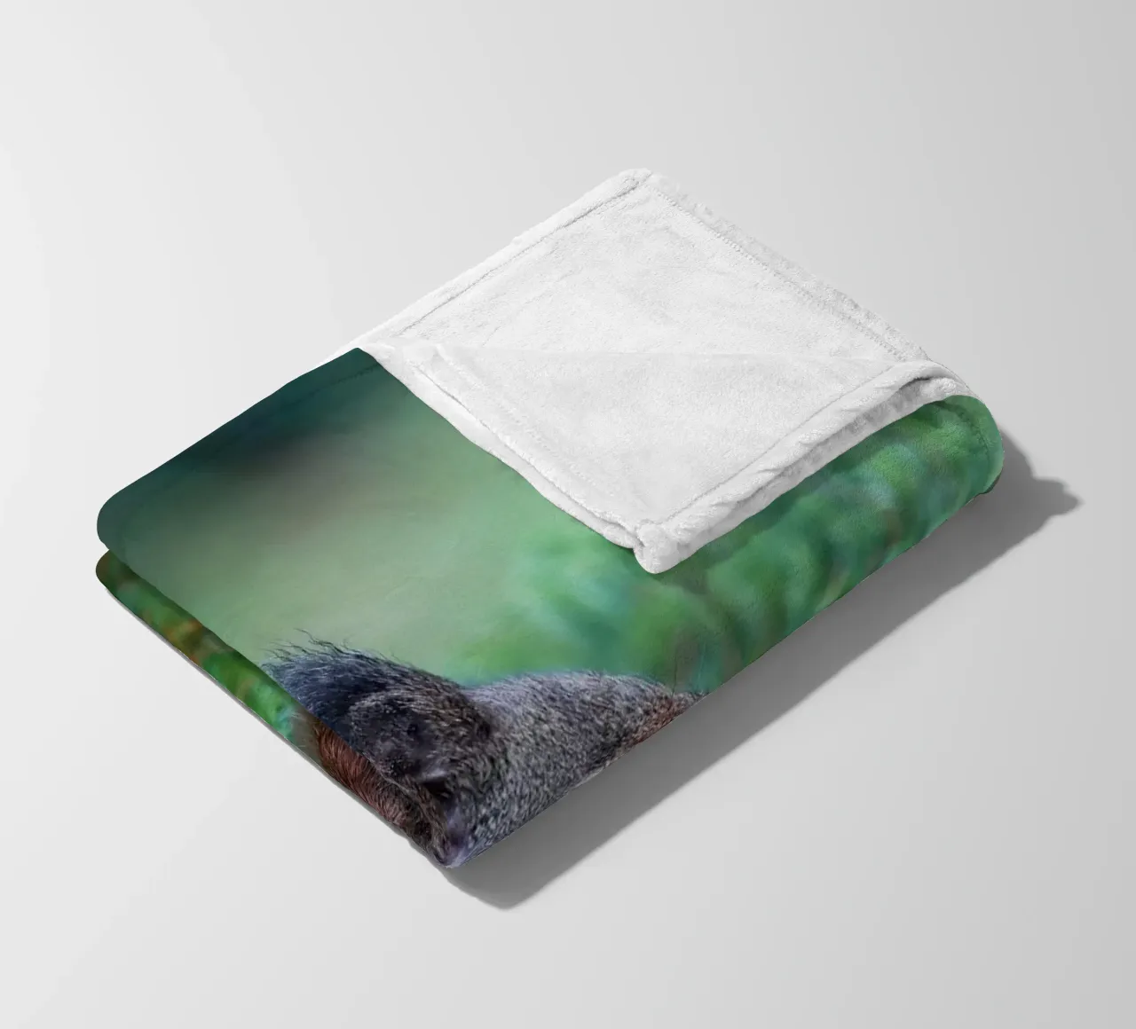 Eichhörnchen Fleecedecke von Tom's Wildlife