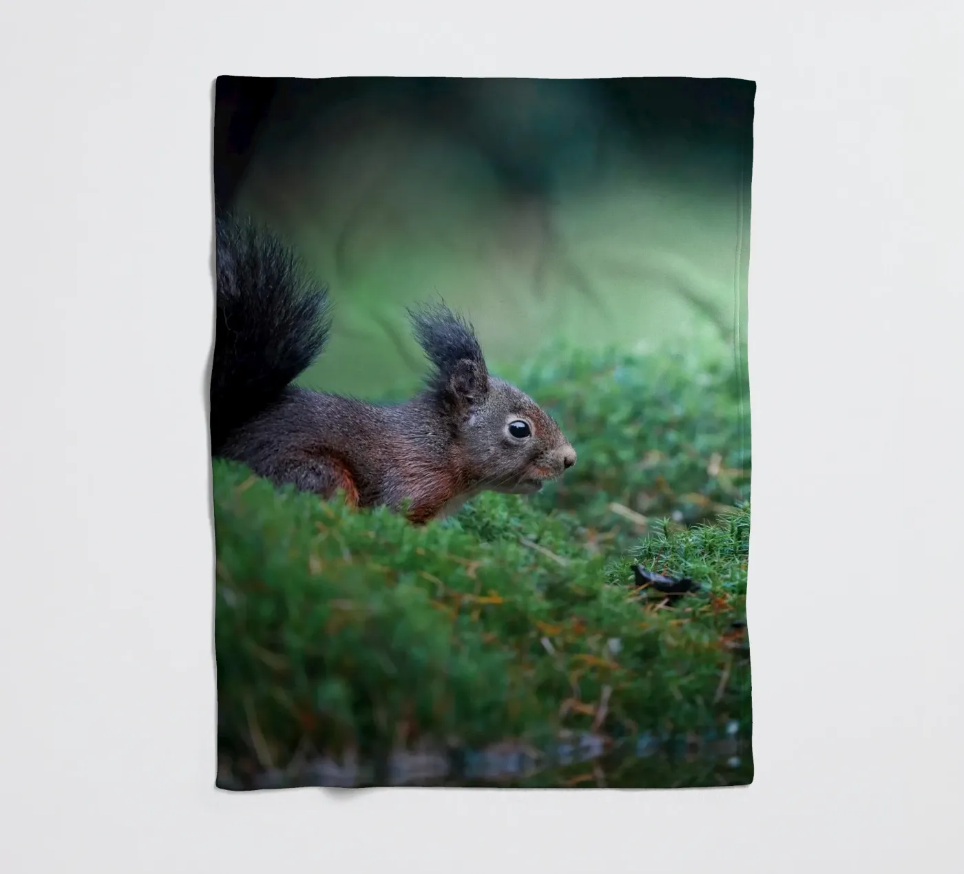 Squirrel fleecedeken van Tom's Wildlife