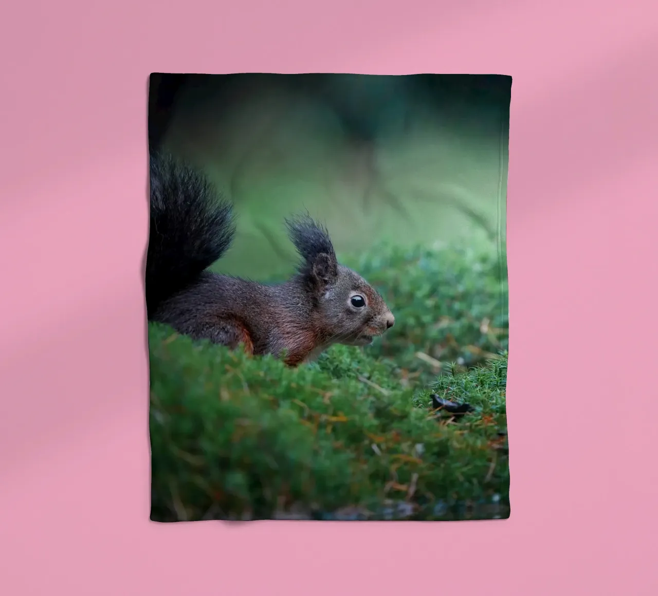 Eichhörnchen Fleecedecke von Tom's Wildlife