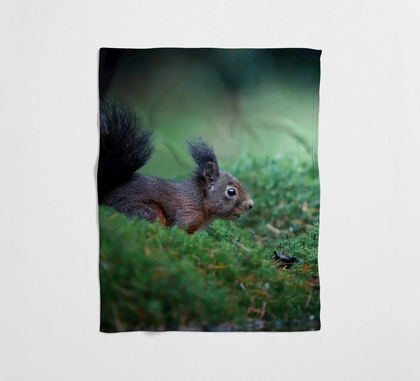 Squirrel fleecedeken van Tom's Wildlife