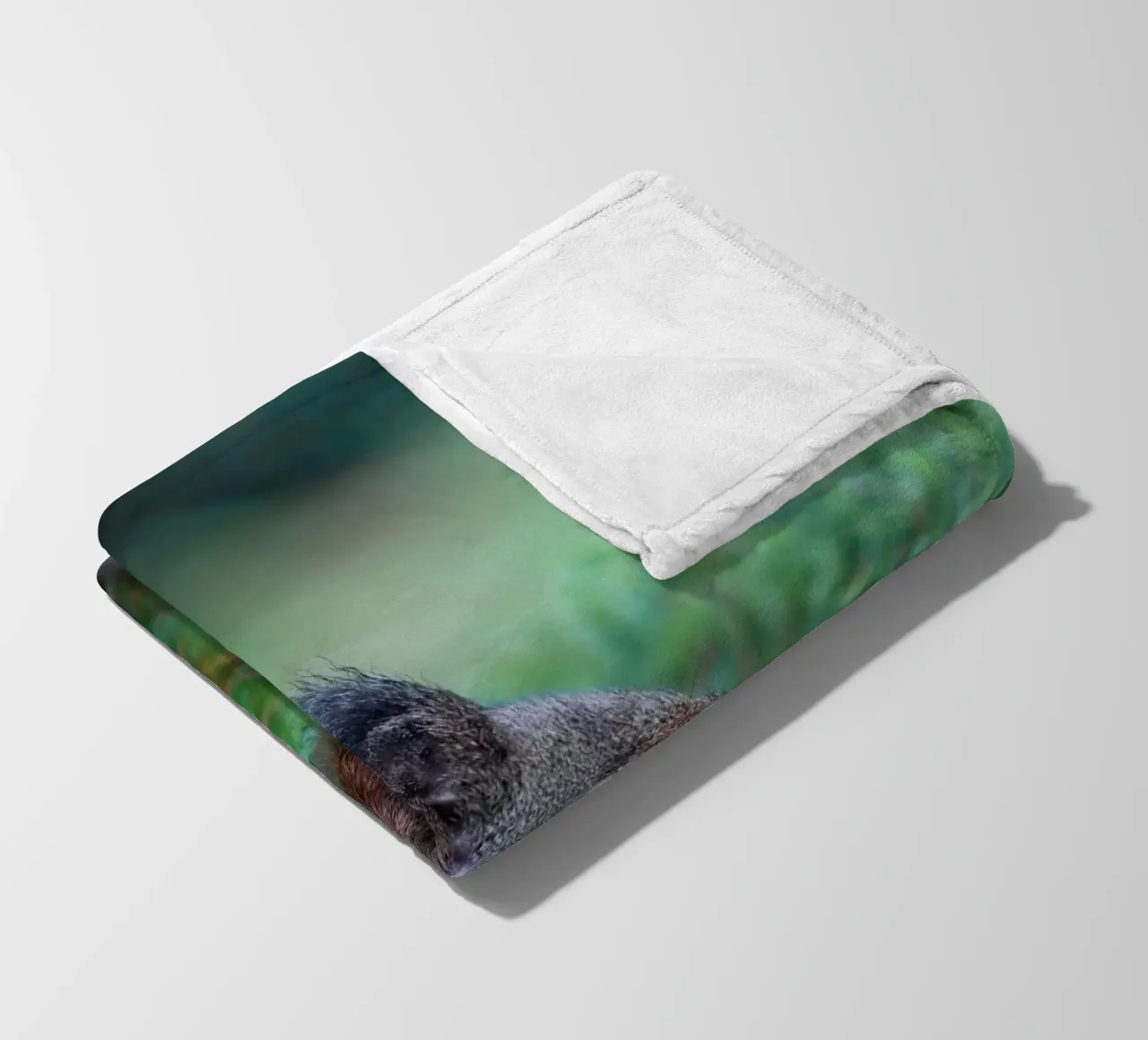 Eichhörnchen Fleecedecke von Tom's Wildlife