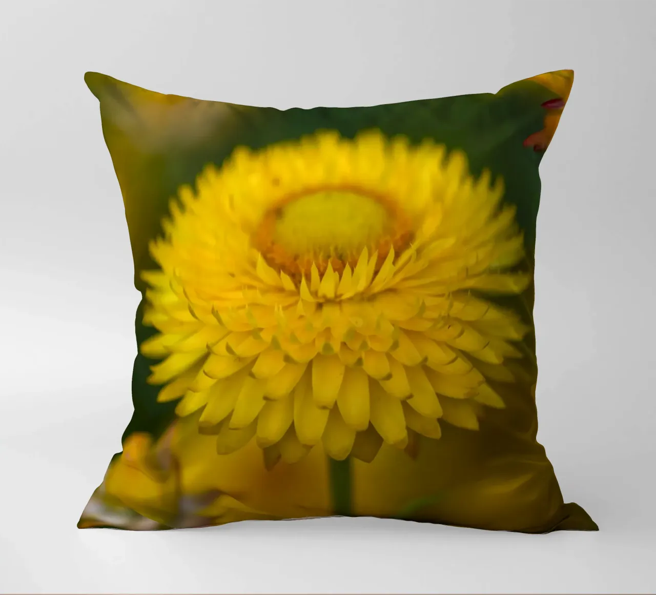 Sole del raccolto cuscino da Curious Collections by Marielle Leenders