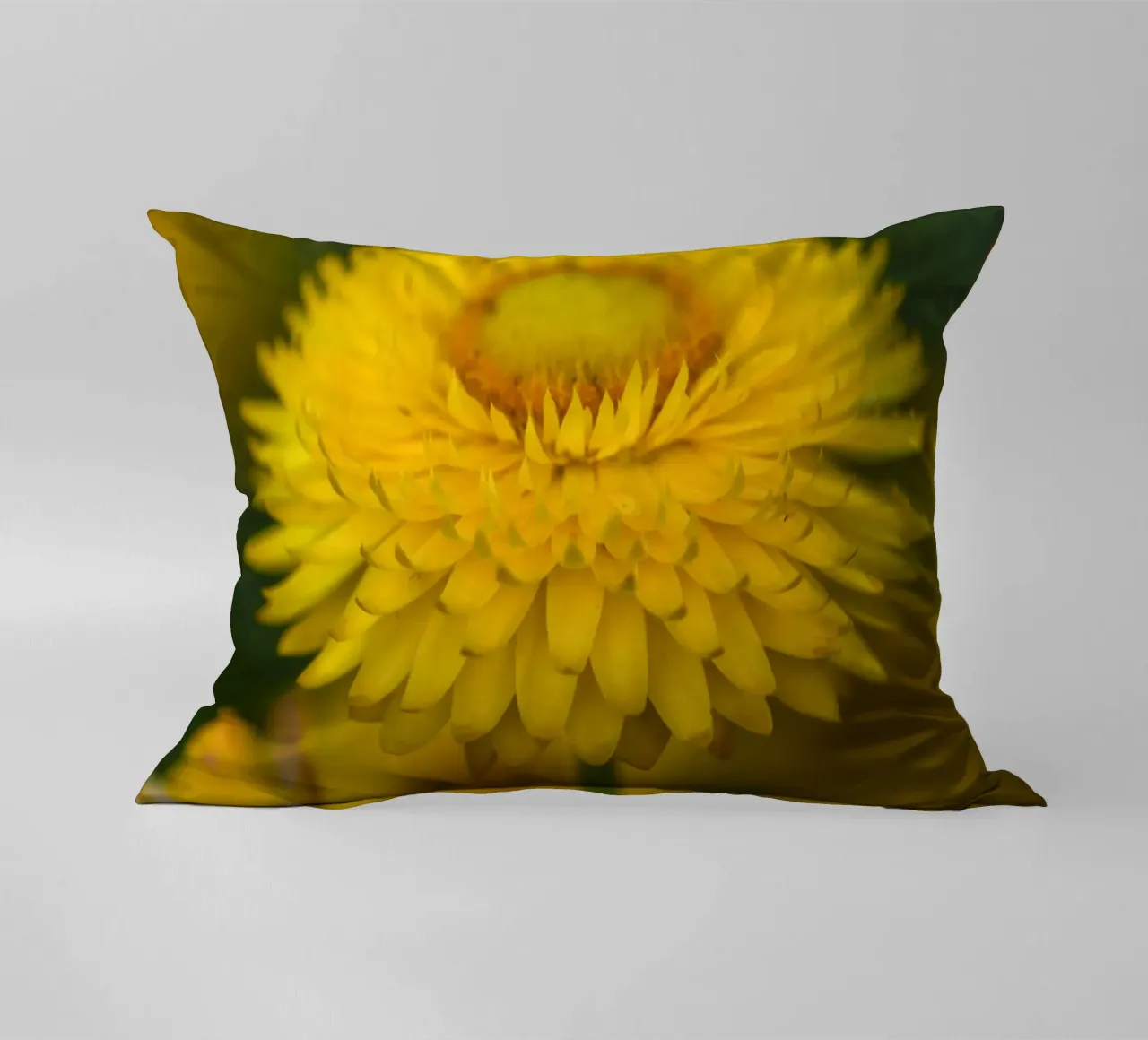 Sole del raccolto cuscino da Curious Collections by Marielle Leenders