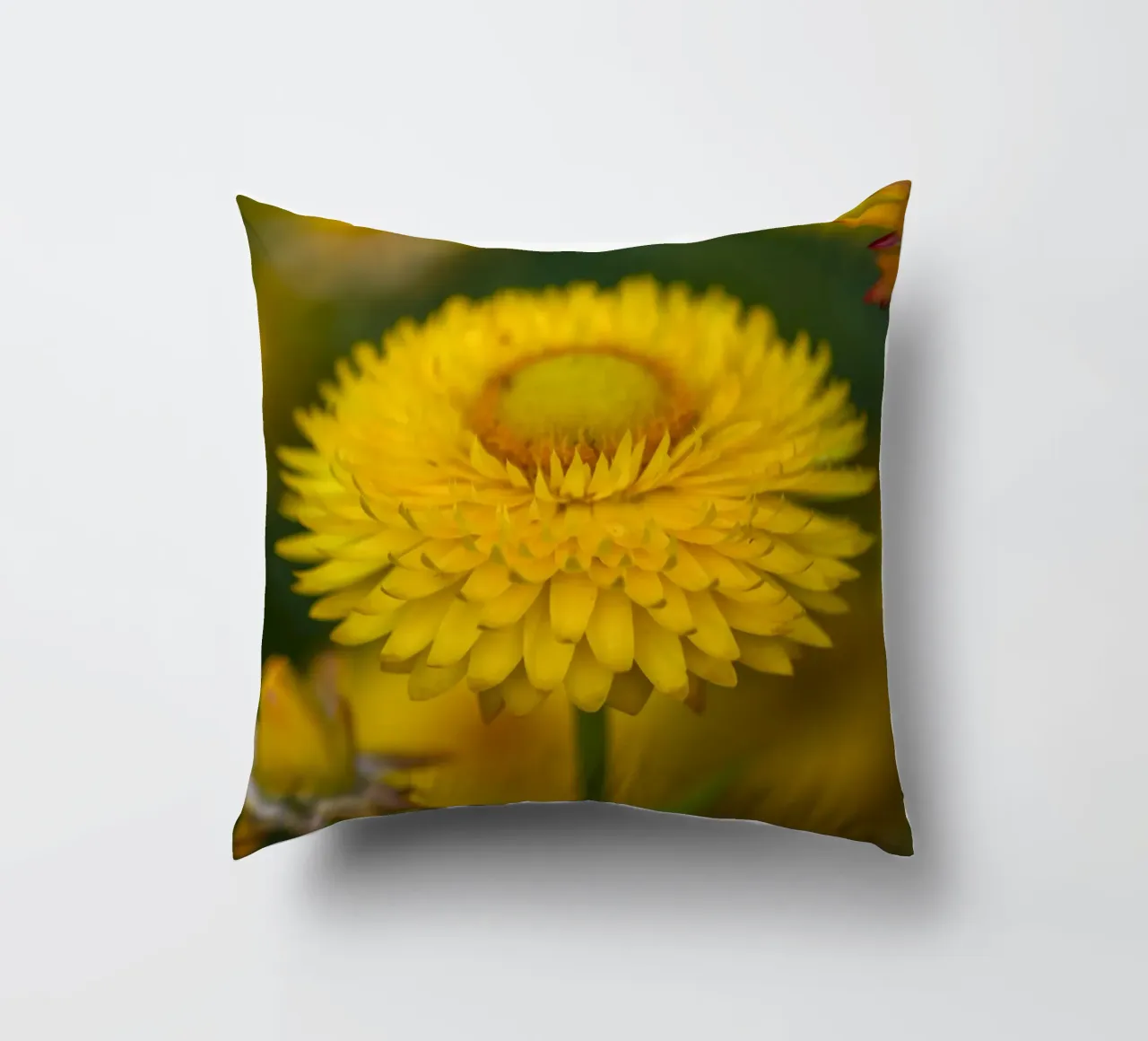 Sole del raccolto cuscino da Curious Collections by Marielle Leenders