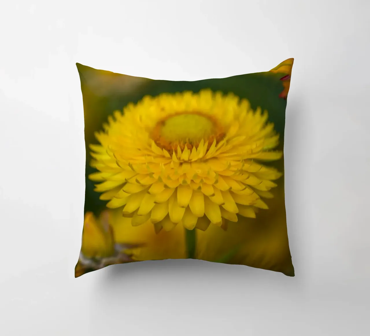 Sole del raccolto cuscino da Curious Collections by Marielle Leenders