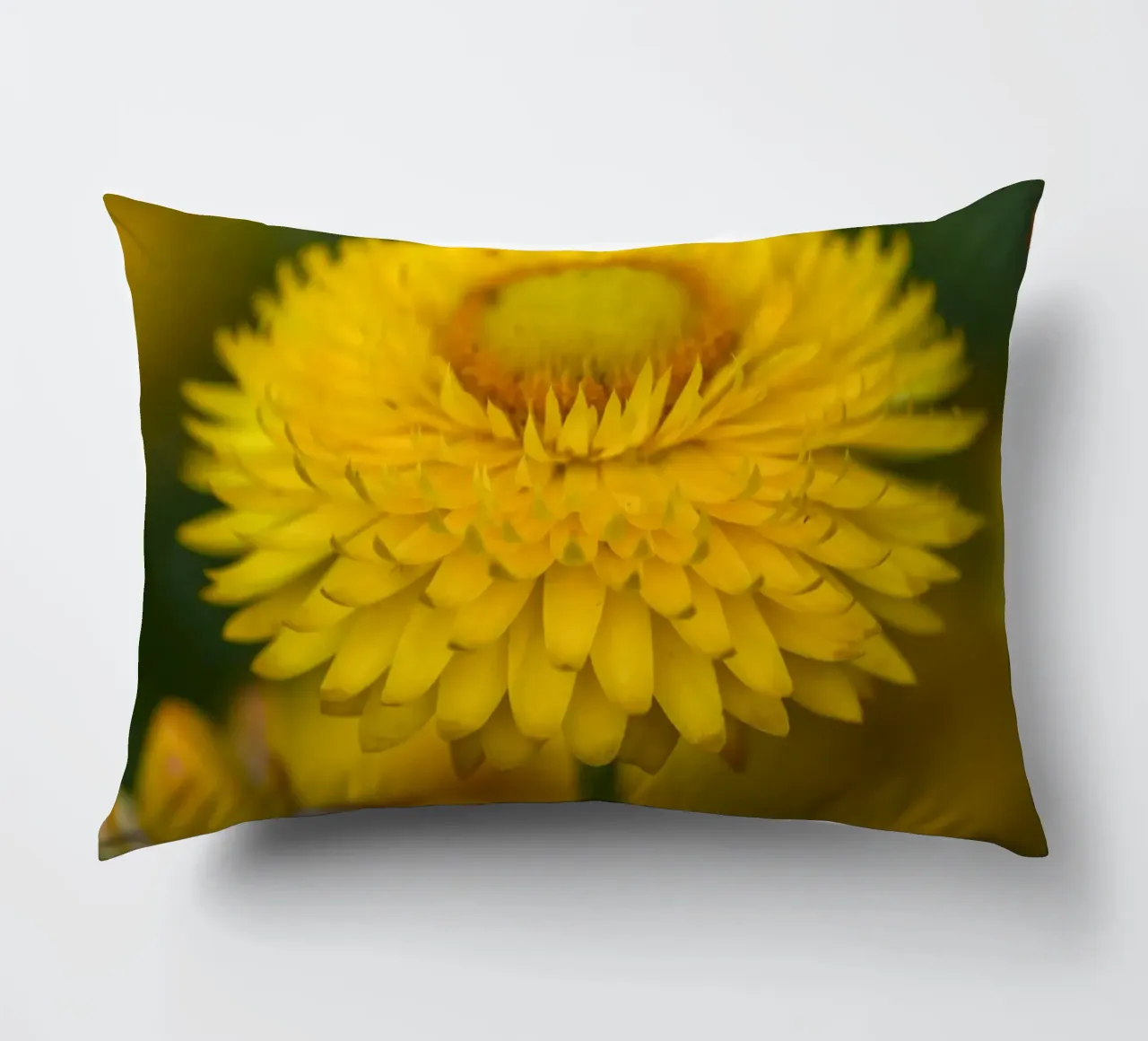 Sole del raccolto cuscino da Curious Collections by Marielle Leenders