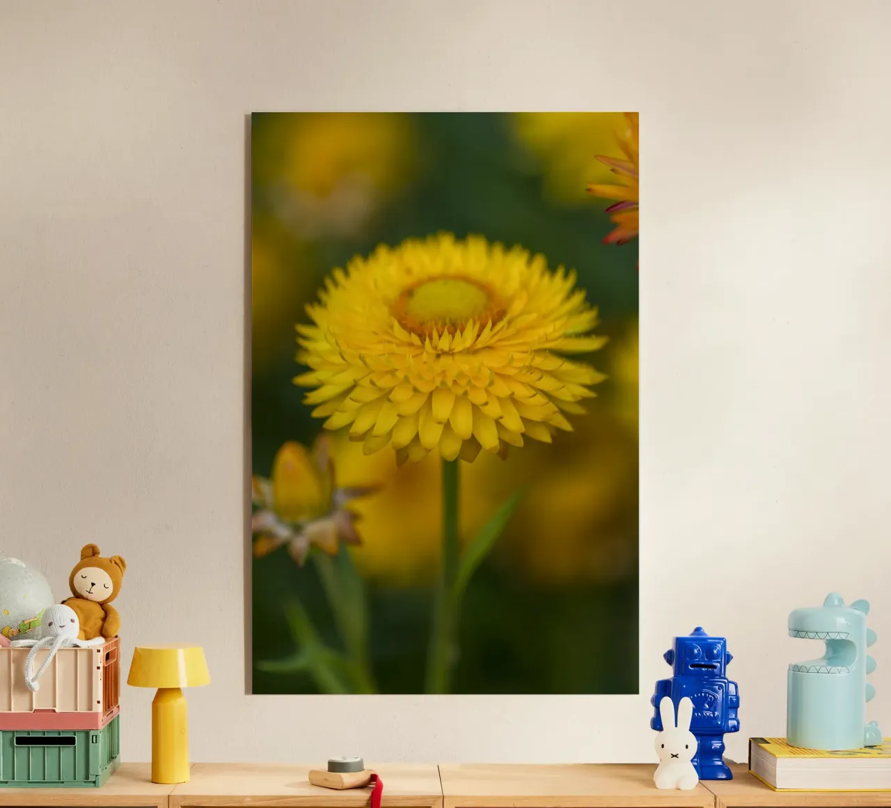 Sole del raccolto plexiglass da Curious Collections by Marielle Leenders