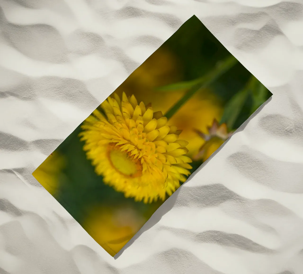 Sole del raccolto telo mare da Curious Collections by Marielle Leenders
