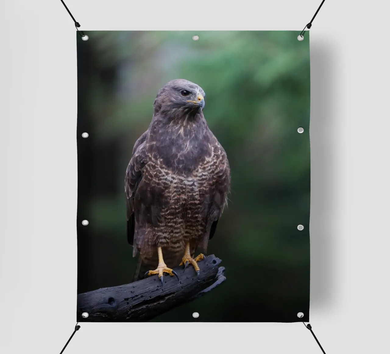 Buse variable bâche pvc de Tom's Wildlife