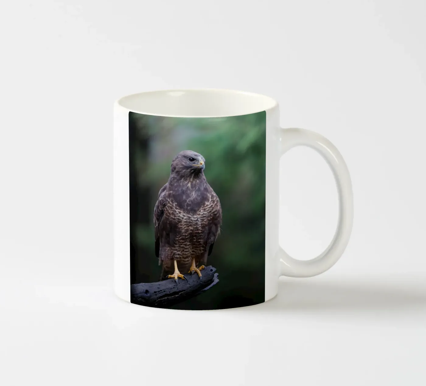 Common buzzard ceramic mug by Tom's Wildlife