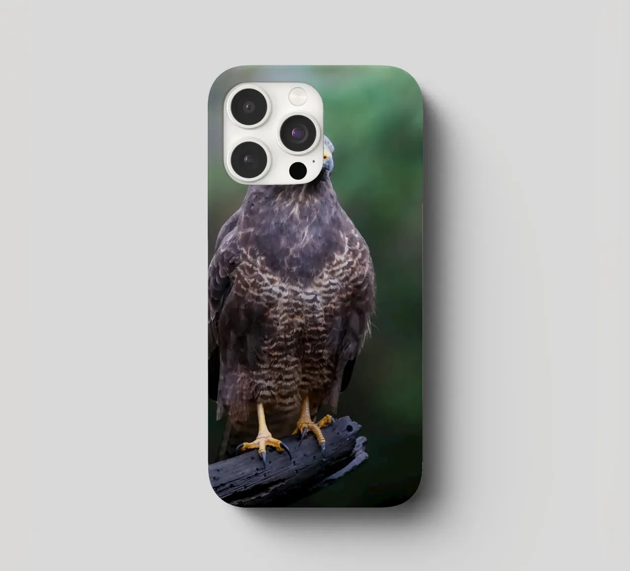 Poiana comune cover iphone da Tom's Wildlife