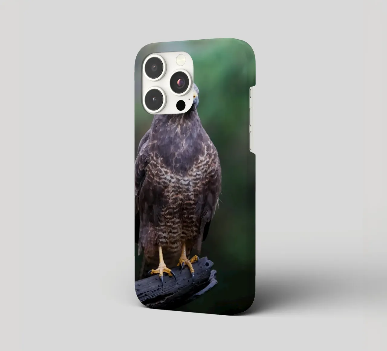Poiana comune cover iphone da Tom's Wildlife