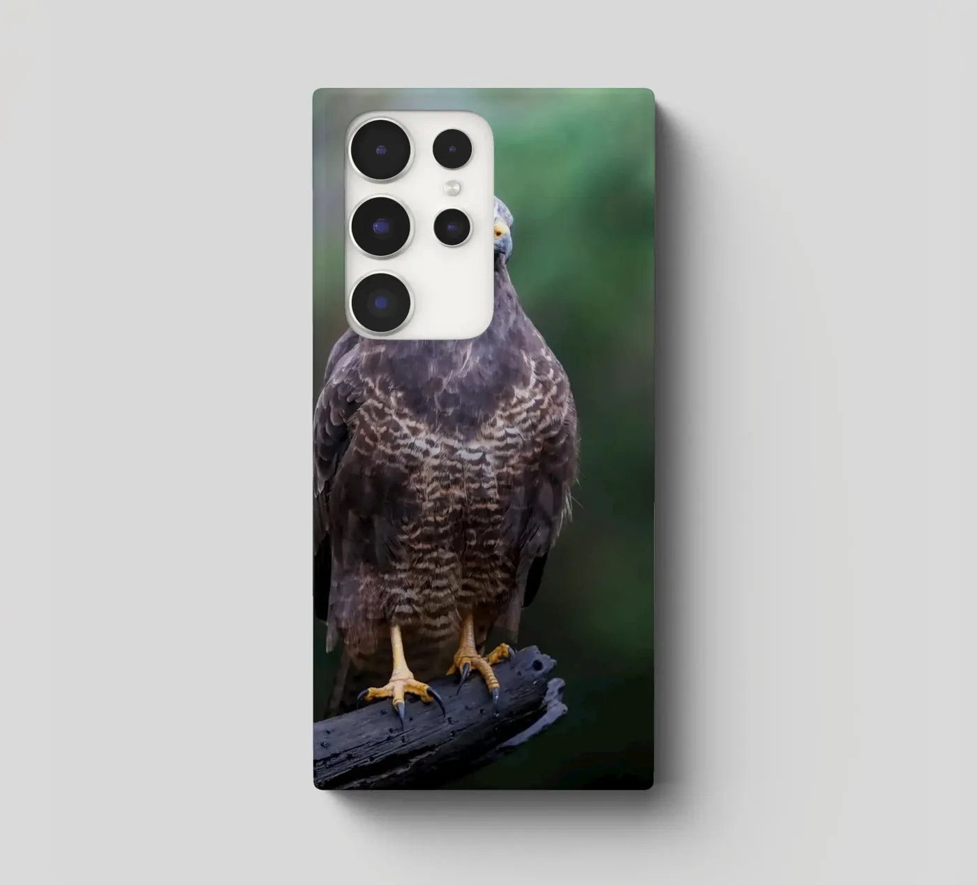 Buizerd samsung hoesje van Tom's Wildlife
