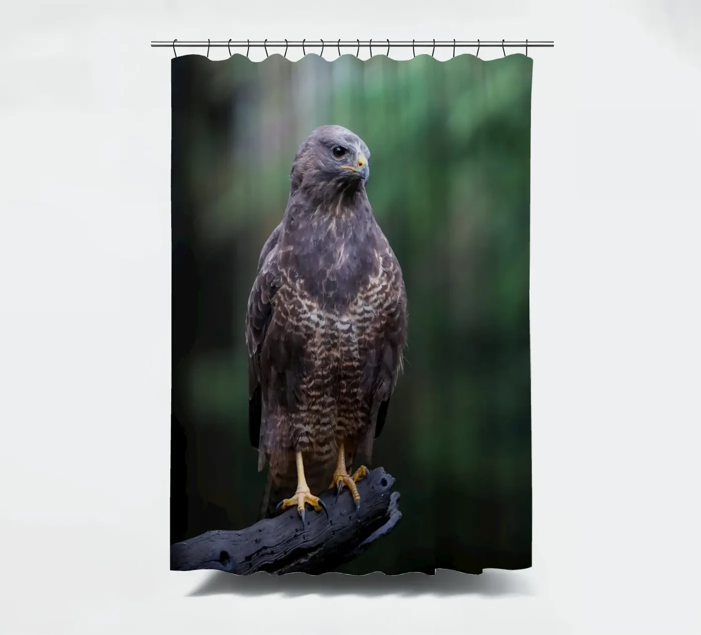 Buse variable rideau de douche de Tom's Wildlife