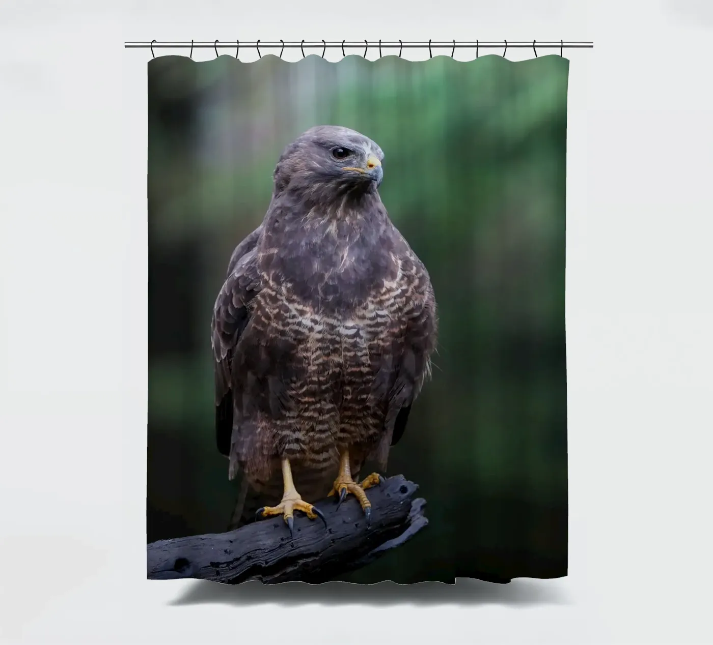 Buse variable rideau de douche de Tom's Wildlife