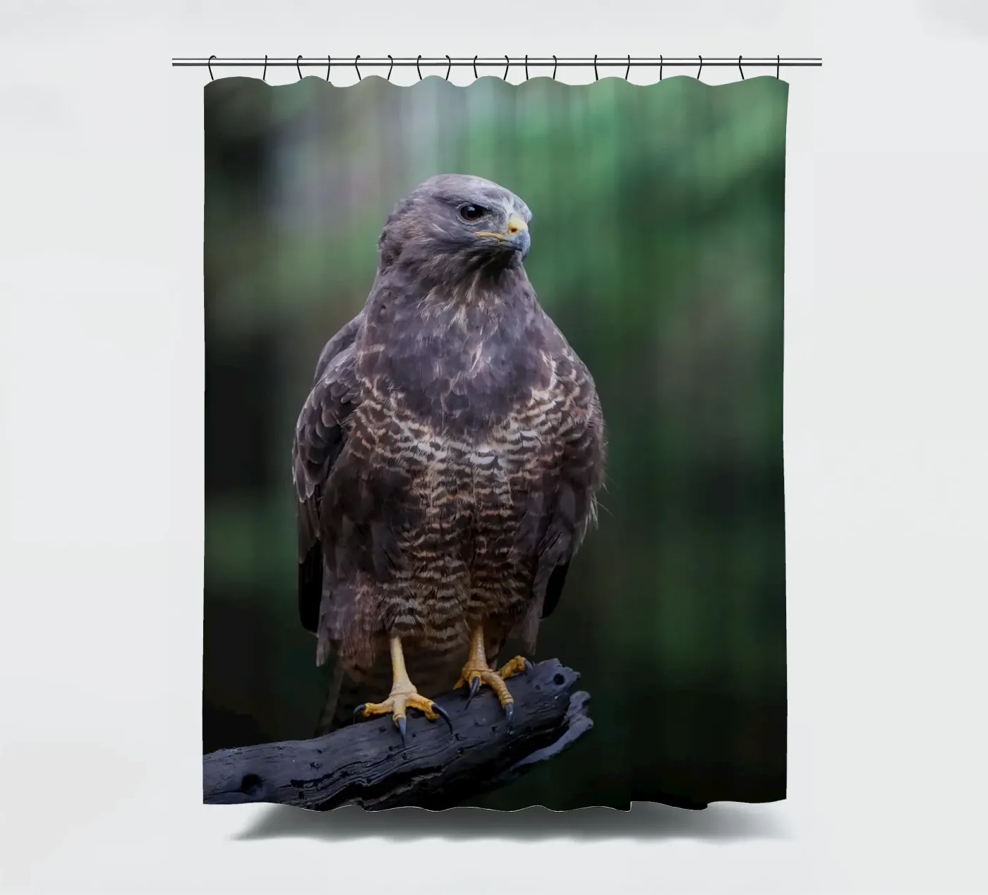 Buse variable rideau de douche de Tom's Wildlife